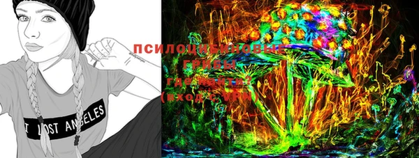 скорость Богородицк