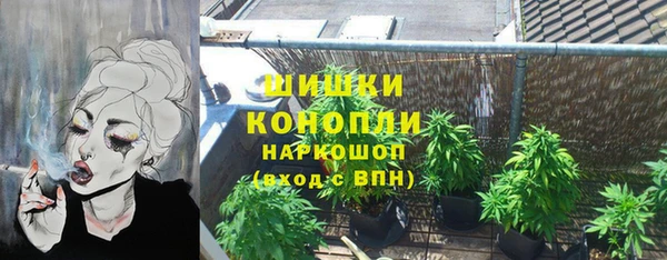 винт Верея