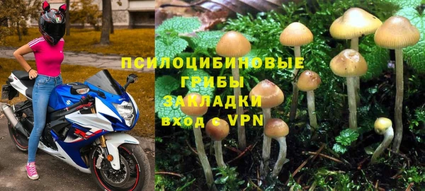 стаф Володарск